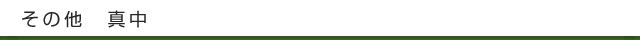 その他 真中